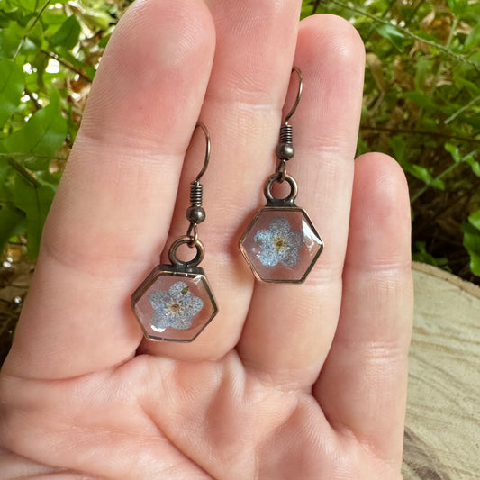 Earrings with real forget-me-not flowers preserved in resin and set in copper bezels