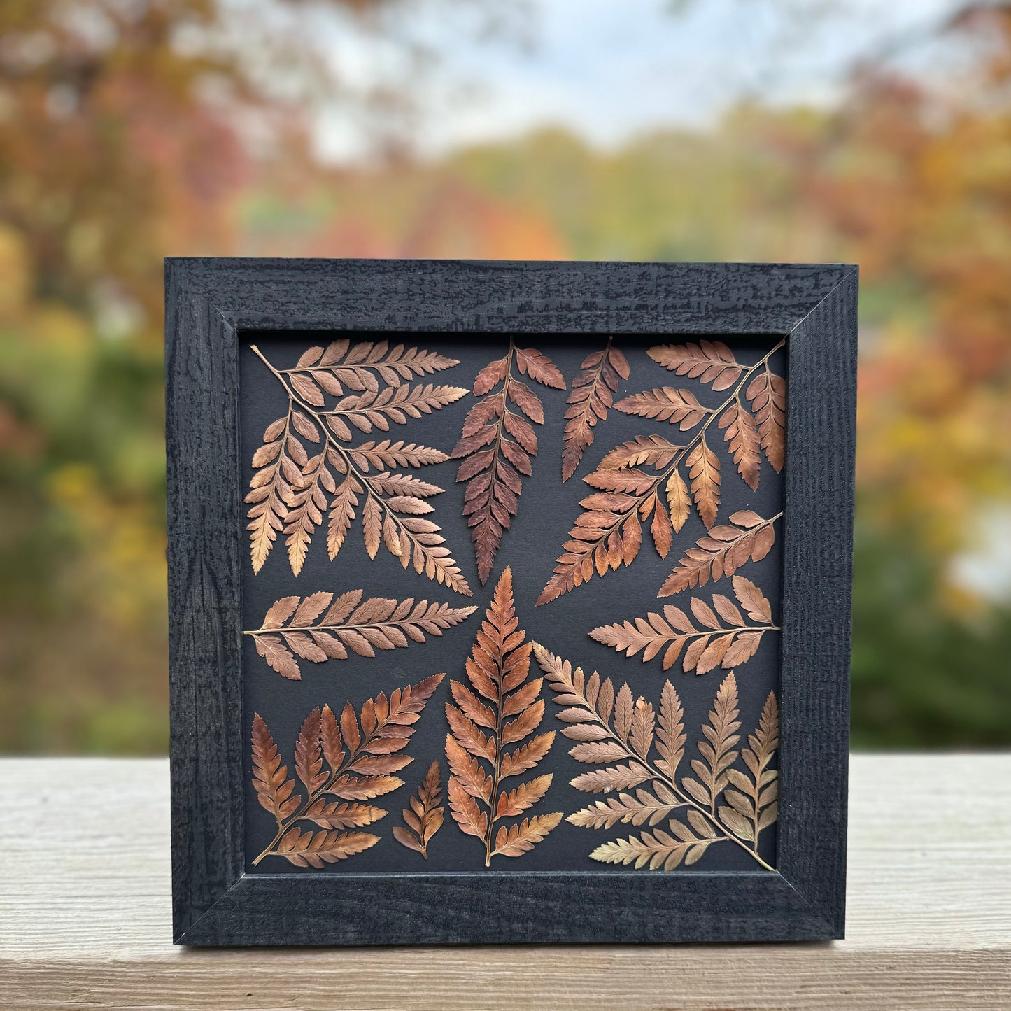 Dark Fern Forest Wall Art