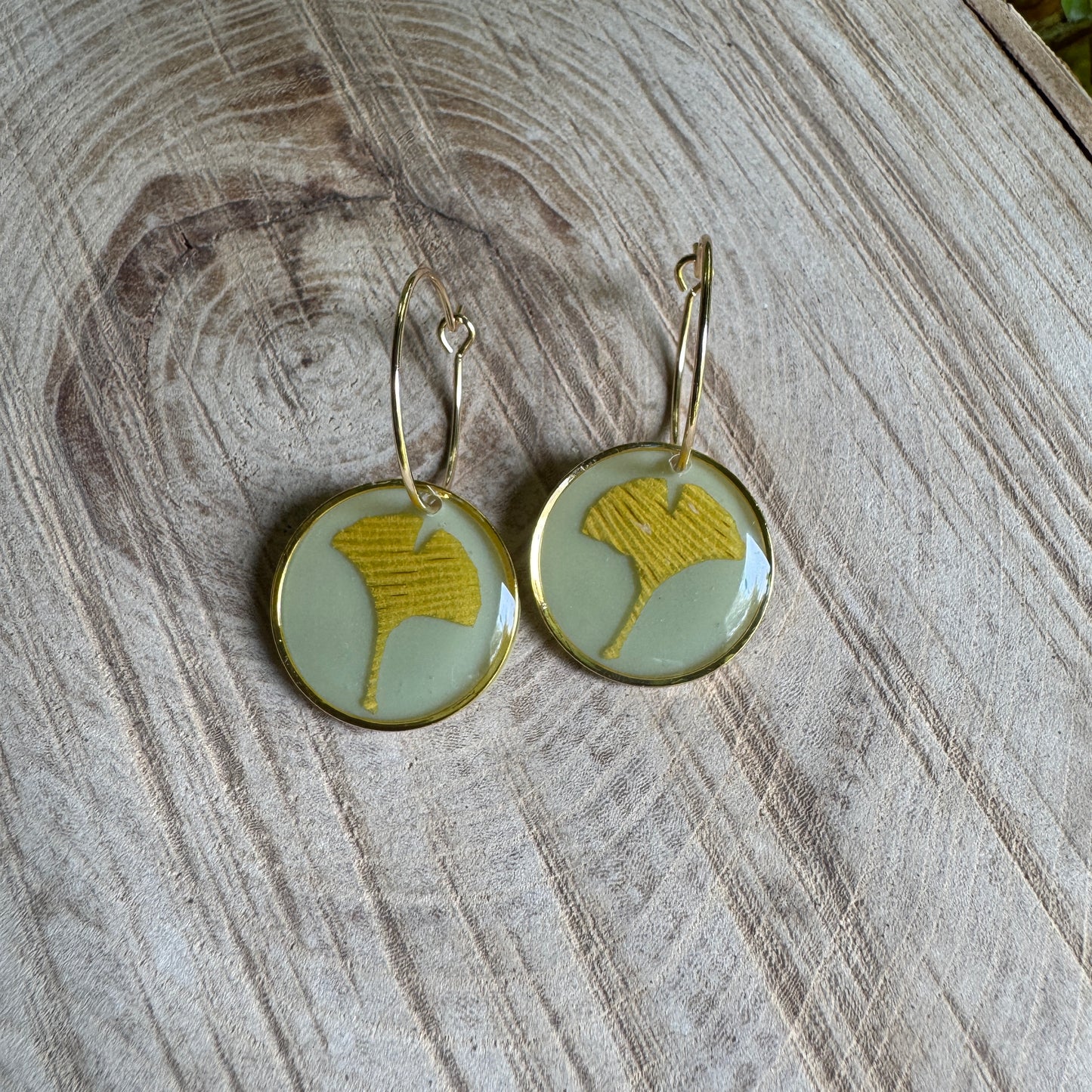 Real ginkgo leaf earrings preserved in resin with gold bezel setting