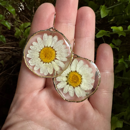 Daisy Earrings | Real Pressed Flower Resin Jewelry