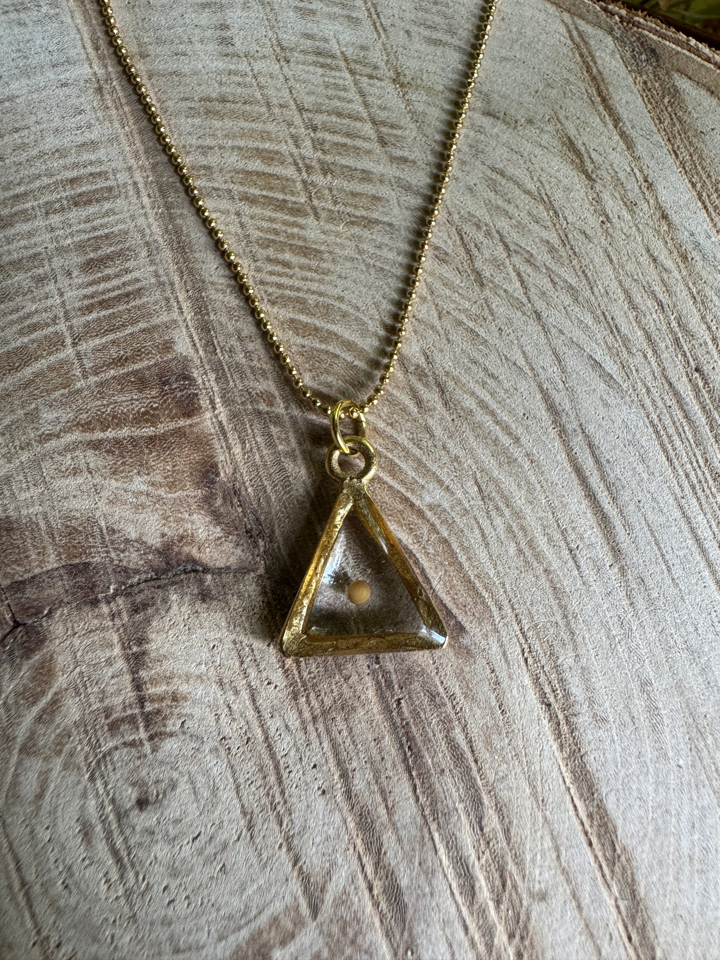 Real mustard seed preserved in resin necklace with gold filled bezel
