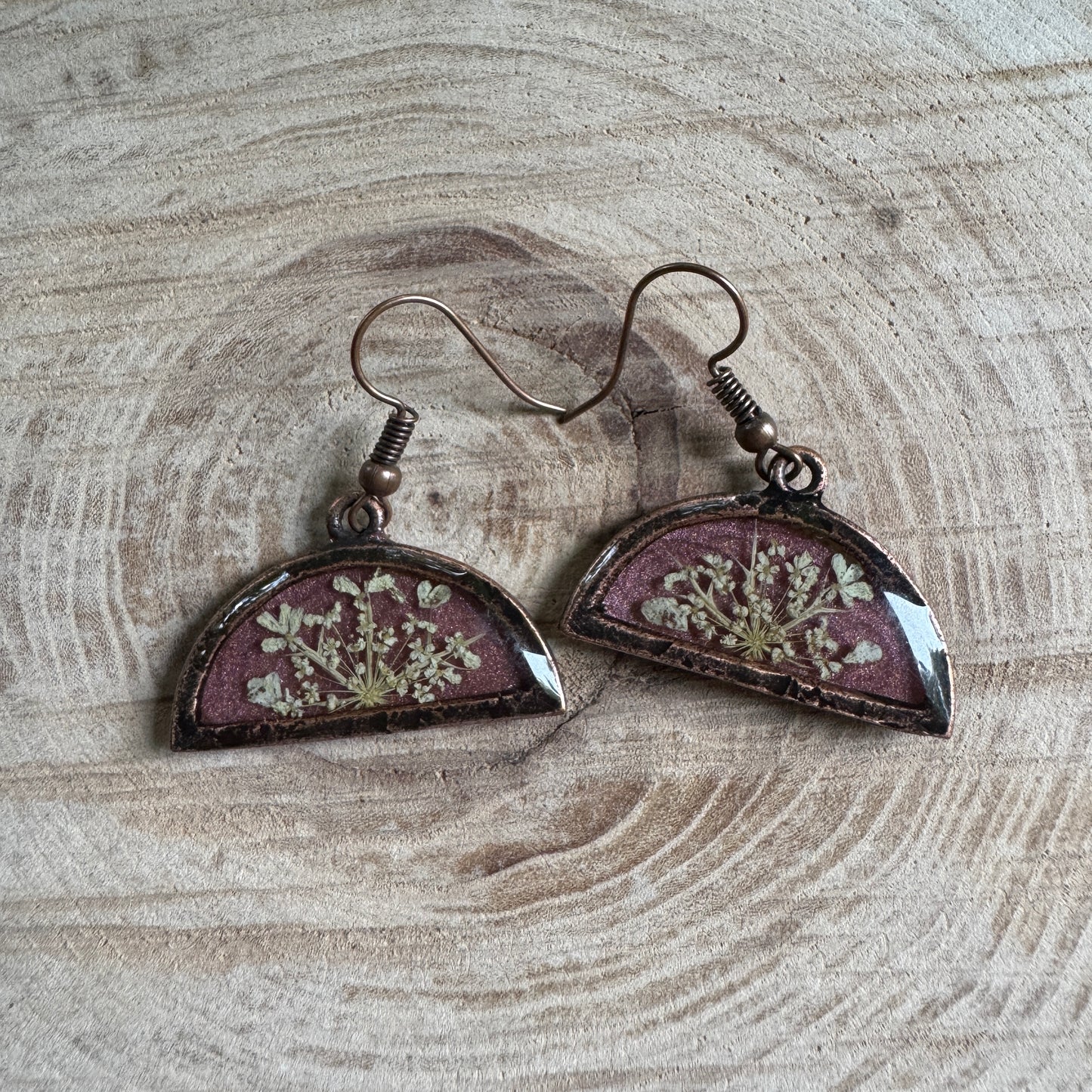 Queen Anne’s Lace flower earrings preserved in resin with copper bezel