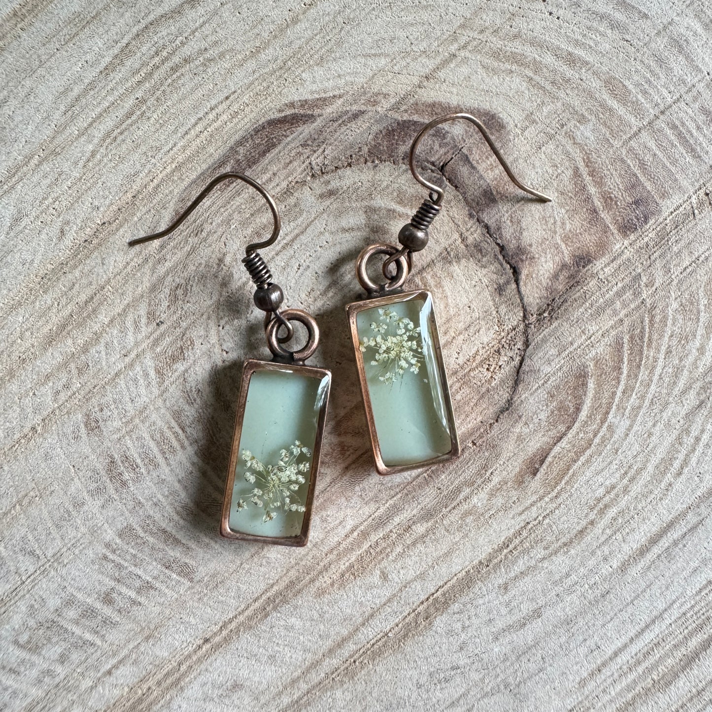 Queen Anne’s Lace flower earrings preserved in resin with copper bezel