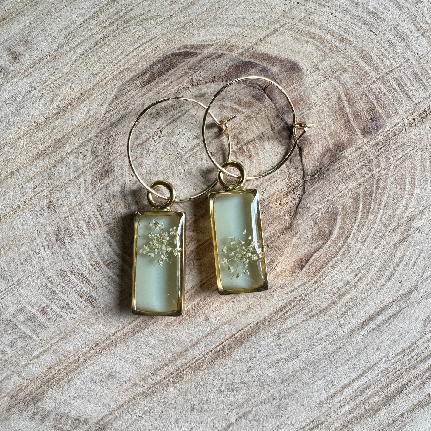 Queen Anne’s Lace flower earrings preserved in resin with gold fille bezel