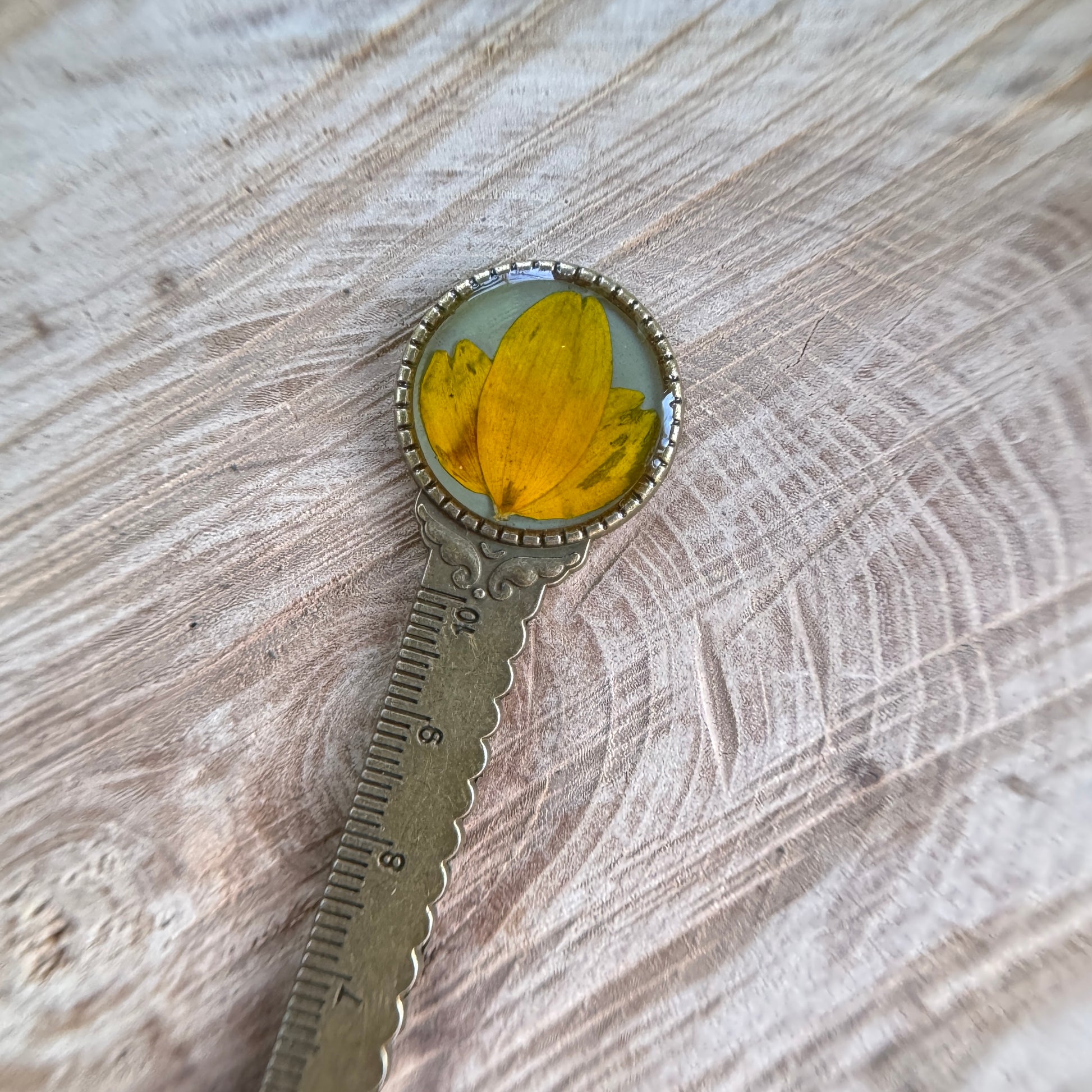 Bookmark with real Black Eyed Susan preserved in resin and bronze bezel
