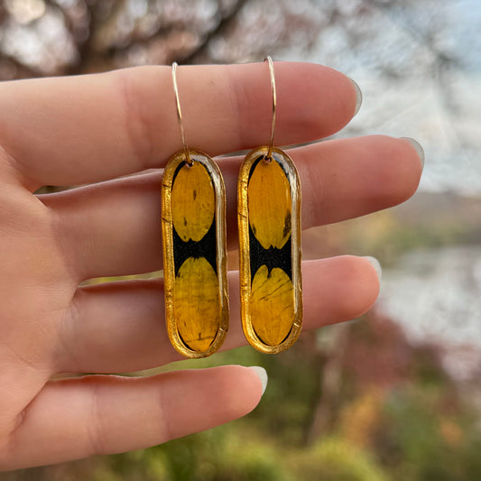 Black Eyed Susan earrings with real yellow petals preserved in resin