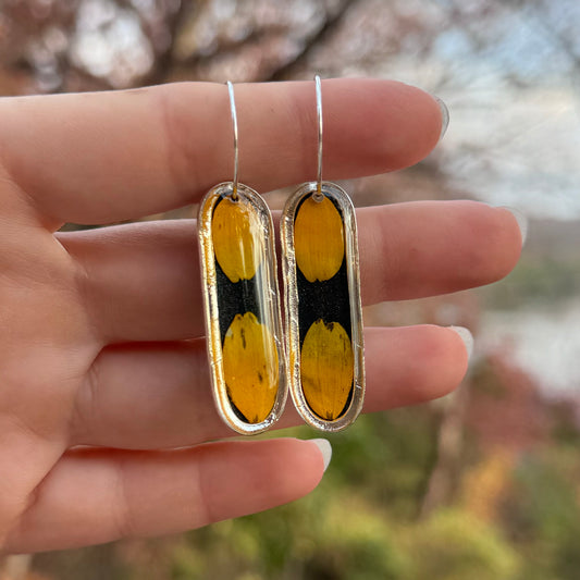 Black Eyed Susan earrings with real yellow petals preserved in resin