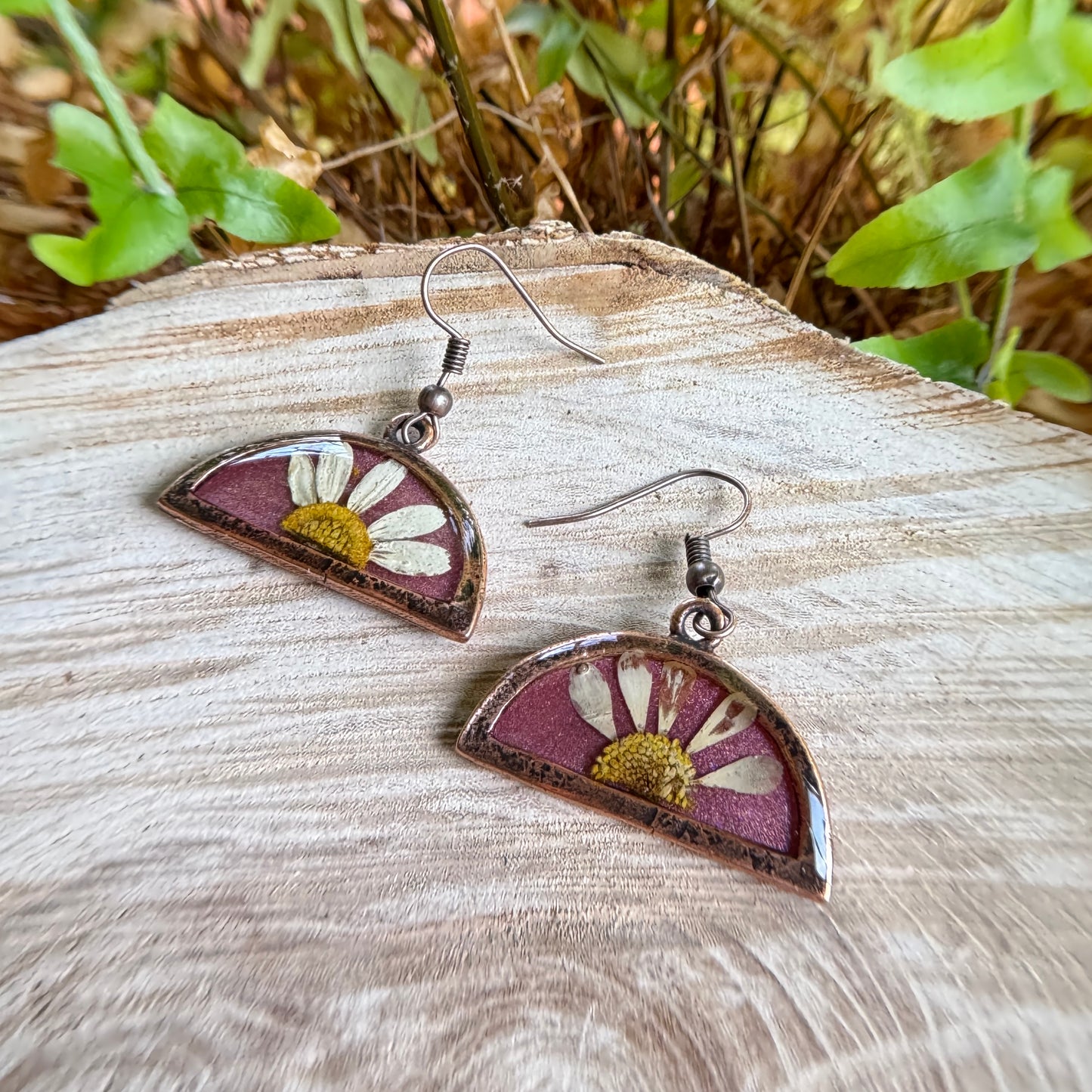 Handmade resin earrings with real daisy petals in copper bezel