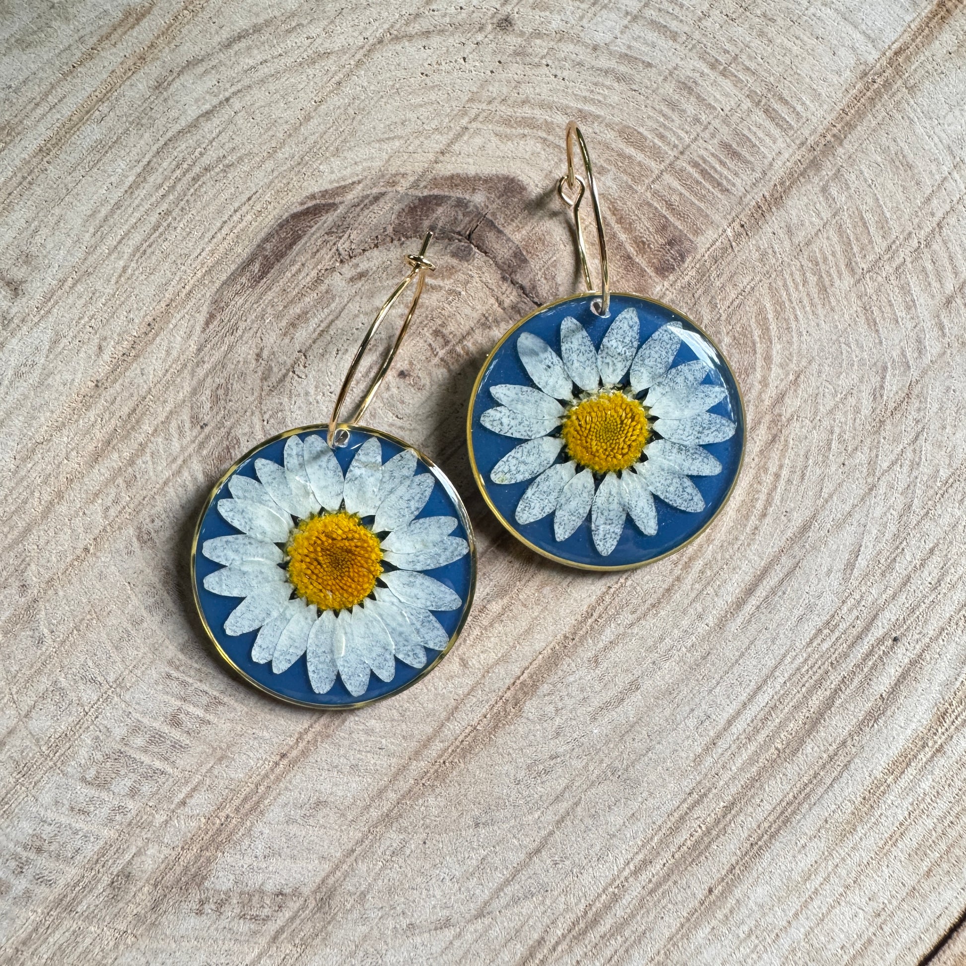 Handmade resin earrings with real daisy petals in gold filled bezel
