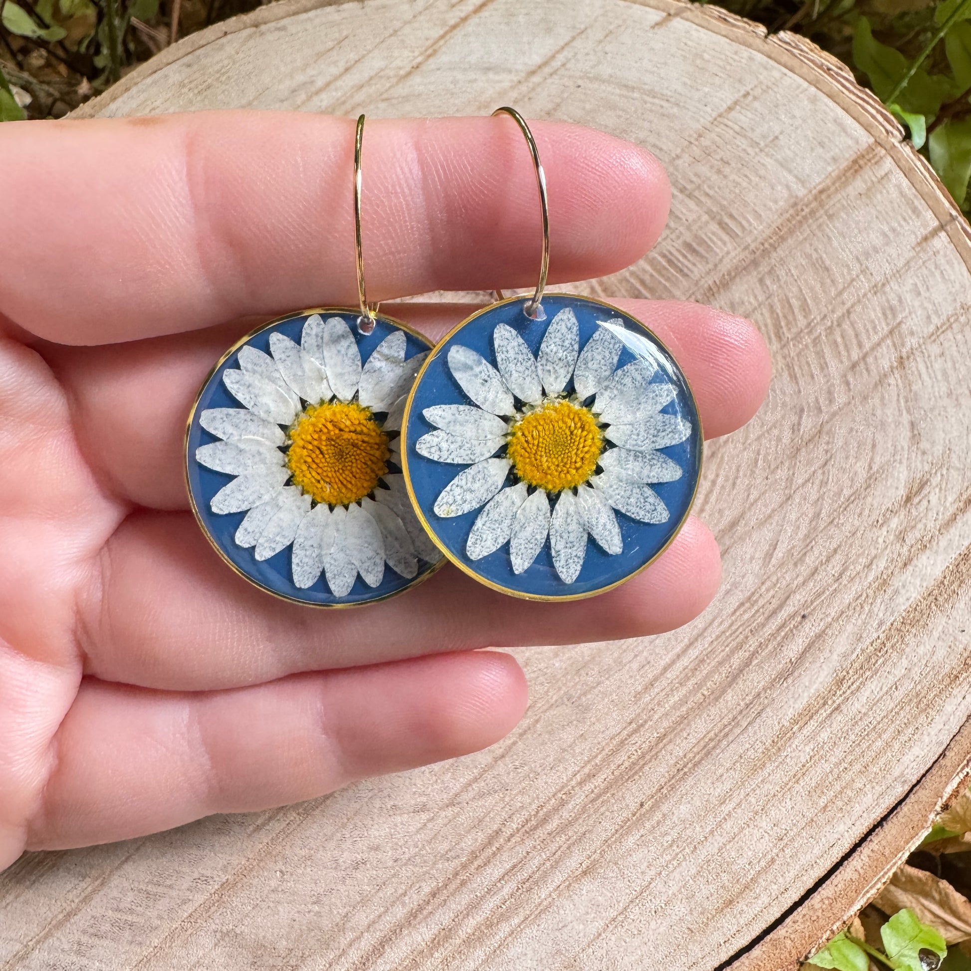 Handmade resin earrings with real daisy petals in gold filled bezel