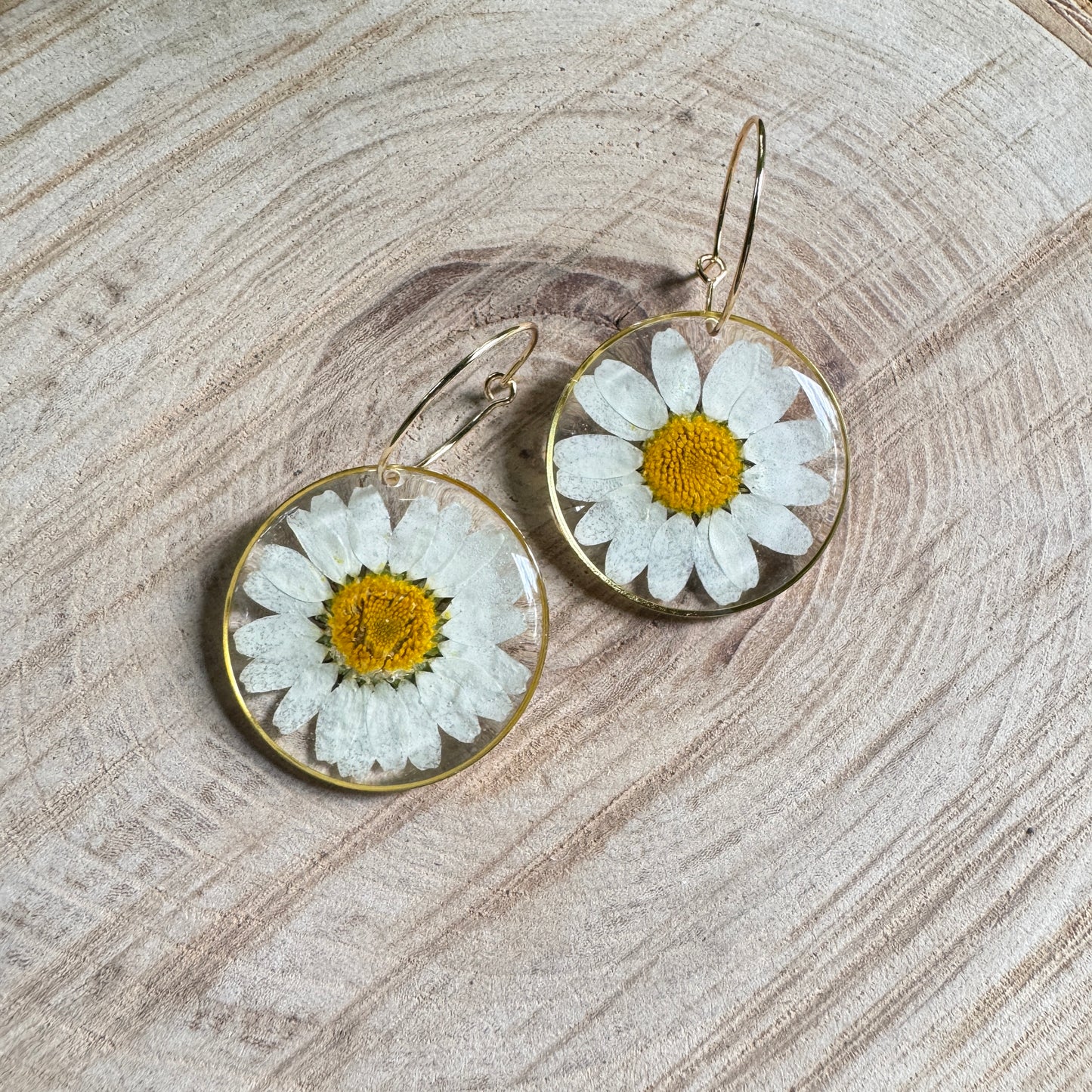 Handmade resin earrings with real daisy petals in gold filled bezel