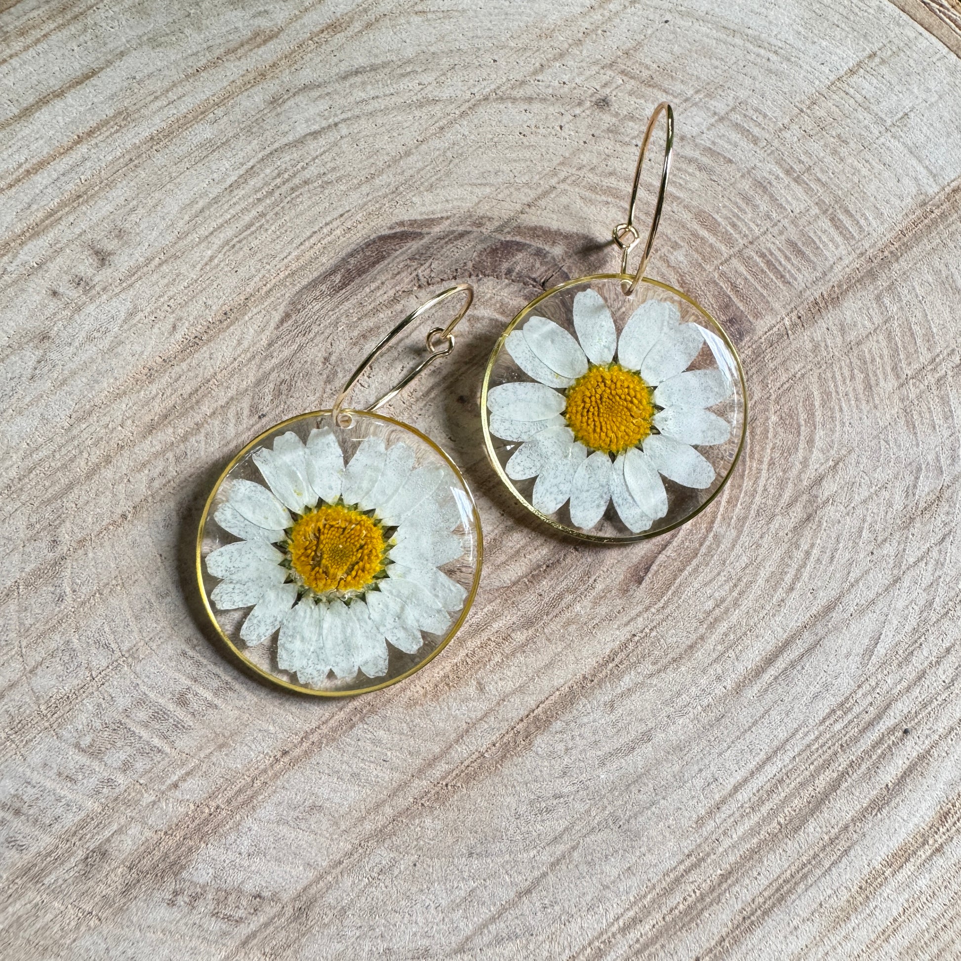 Handmade resin earrings with real daisy petals in gold filled bezel