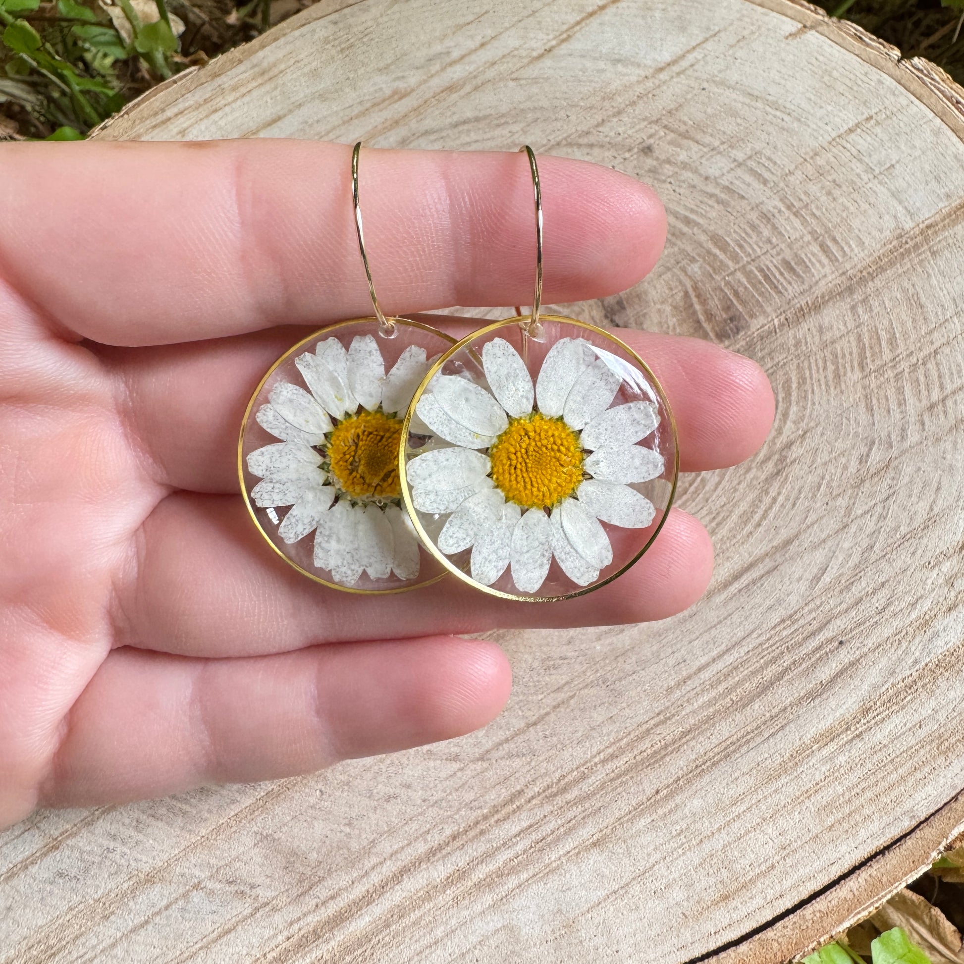 Handmade resin earrings with real daisy petals in gold filled bezel