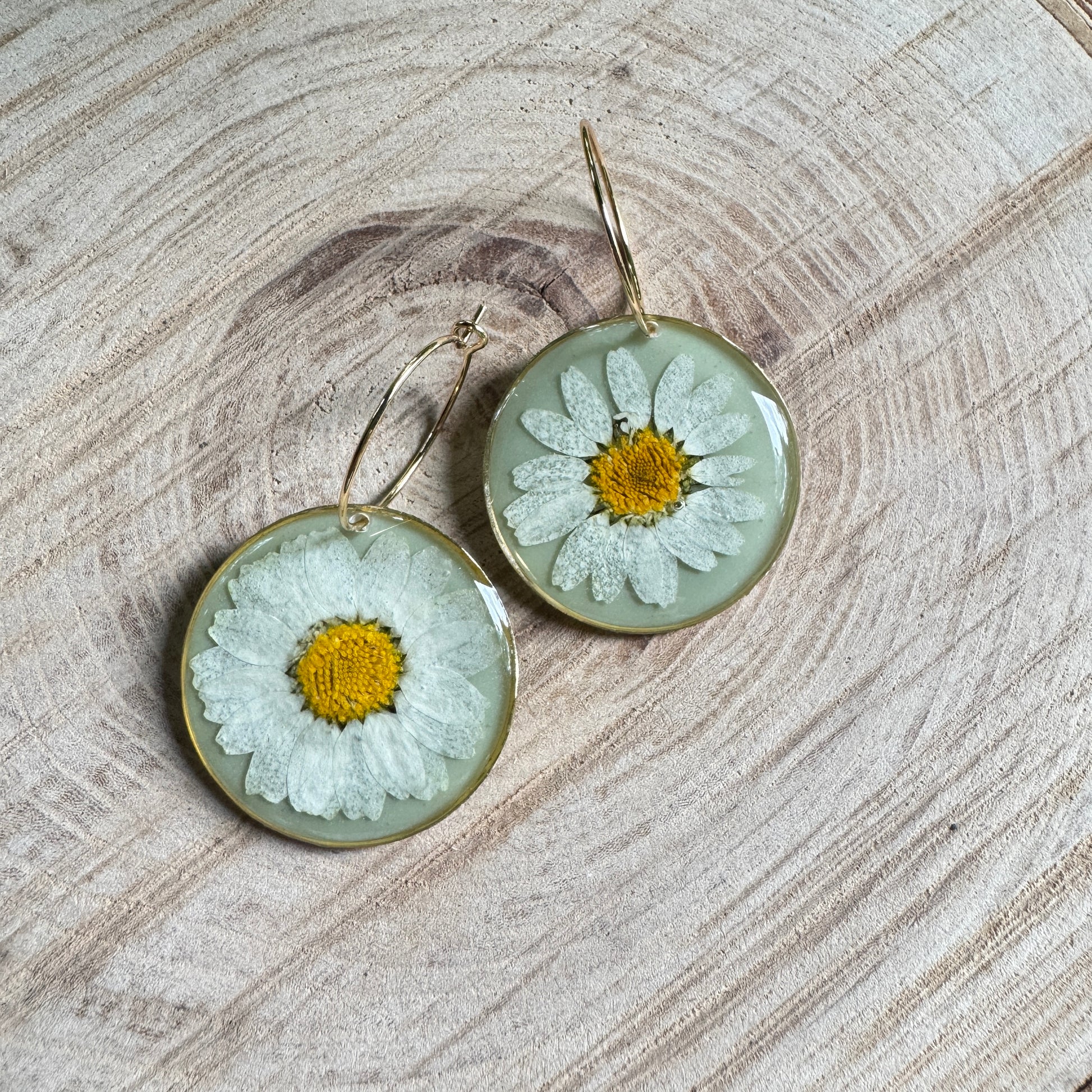 Handmade resin earrings with real daisy petals in gold filled bezel