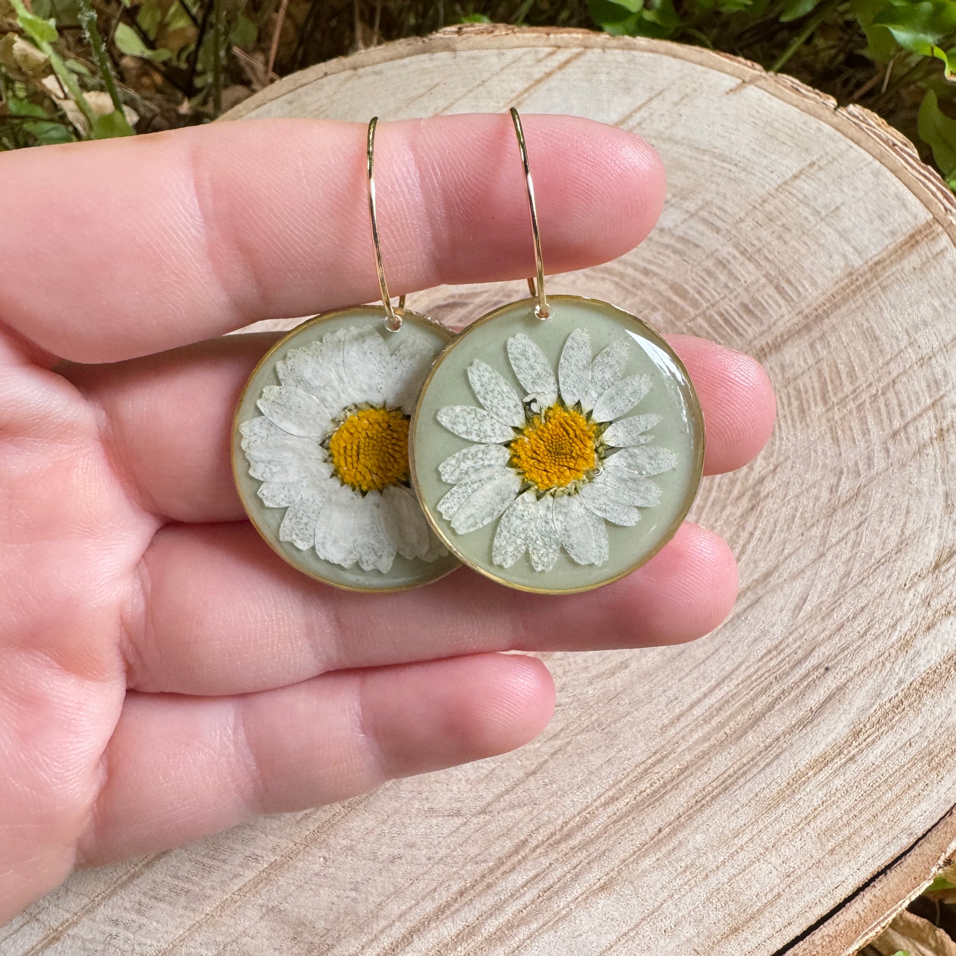Handmade resin earrings with real daisy petals in gold filled bezel