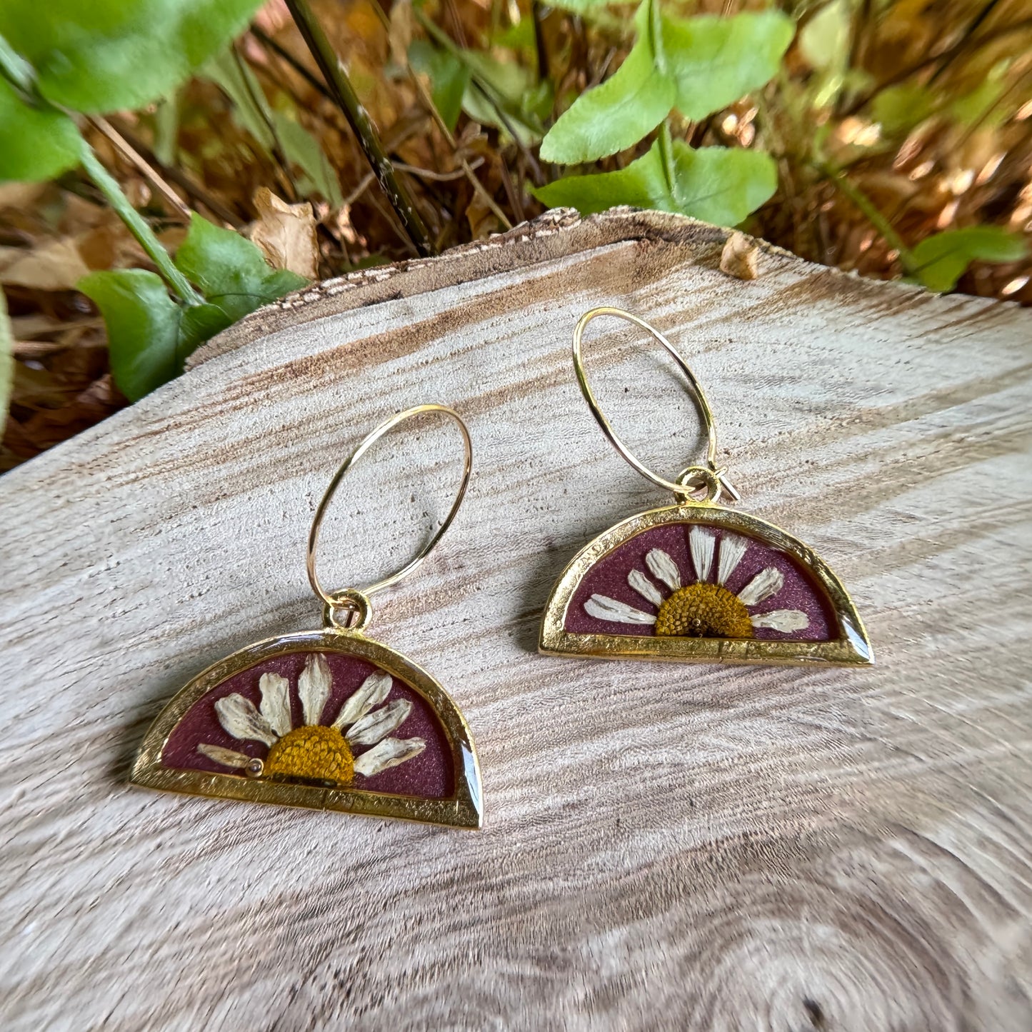 Handmade resin earrings with real daisy petals in gold filled bezel