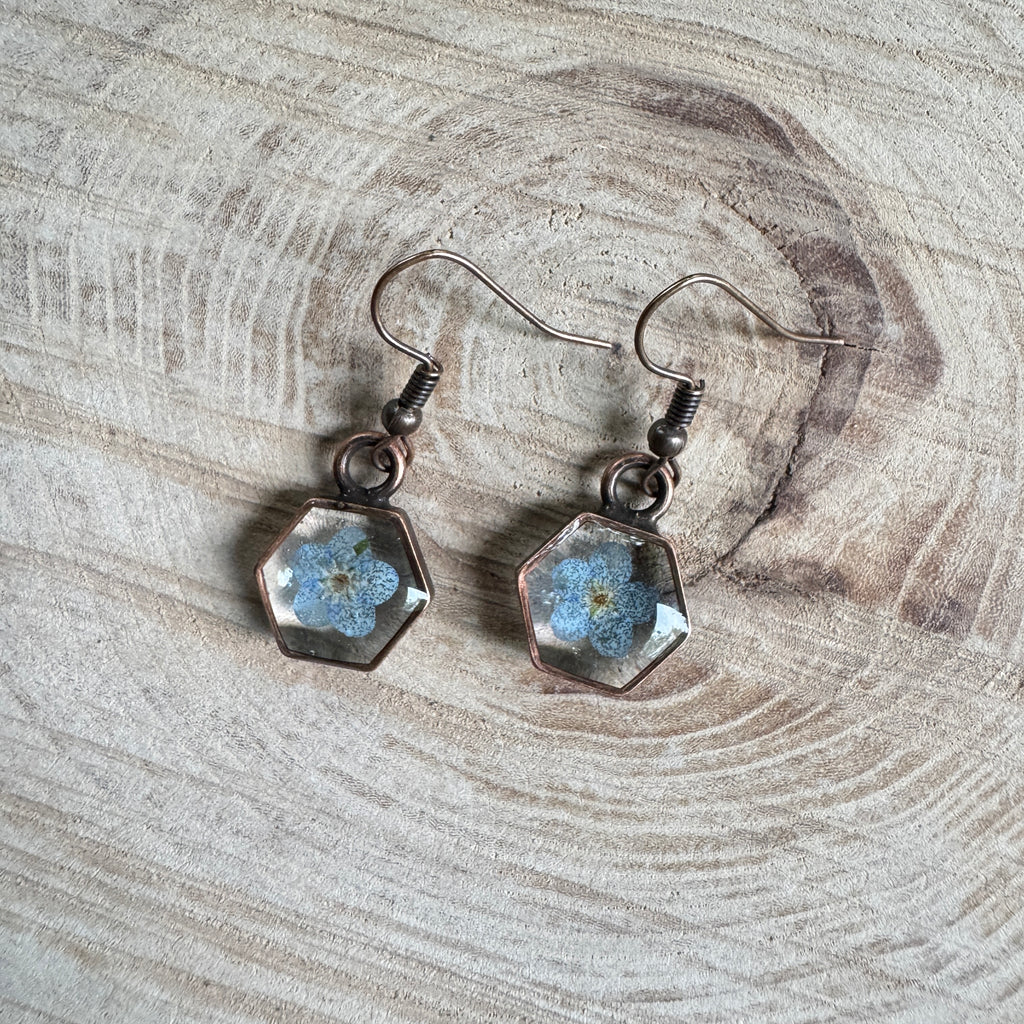 Earrings with real forget-me-not flowers preserved in resin and set in copper bezels