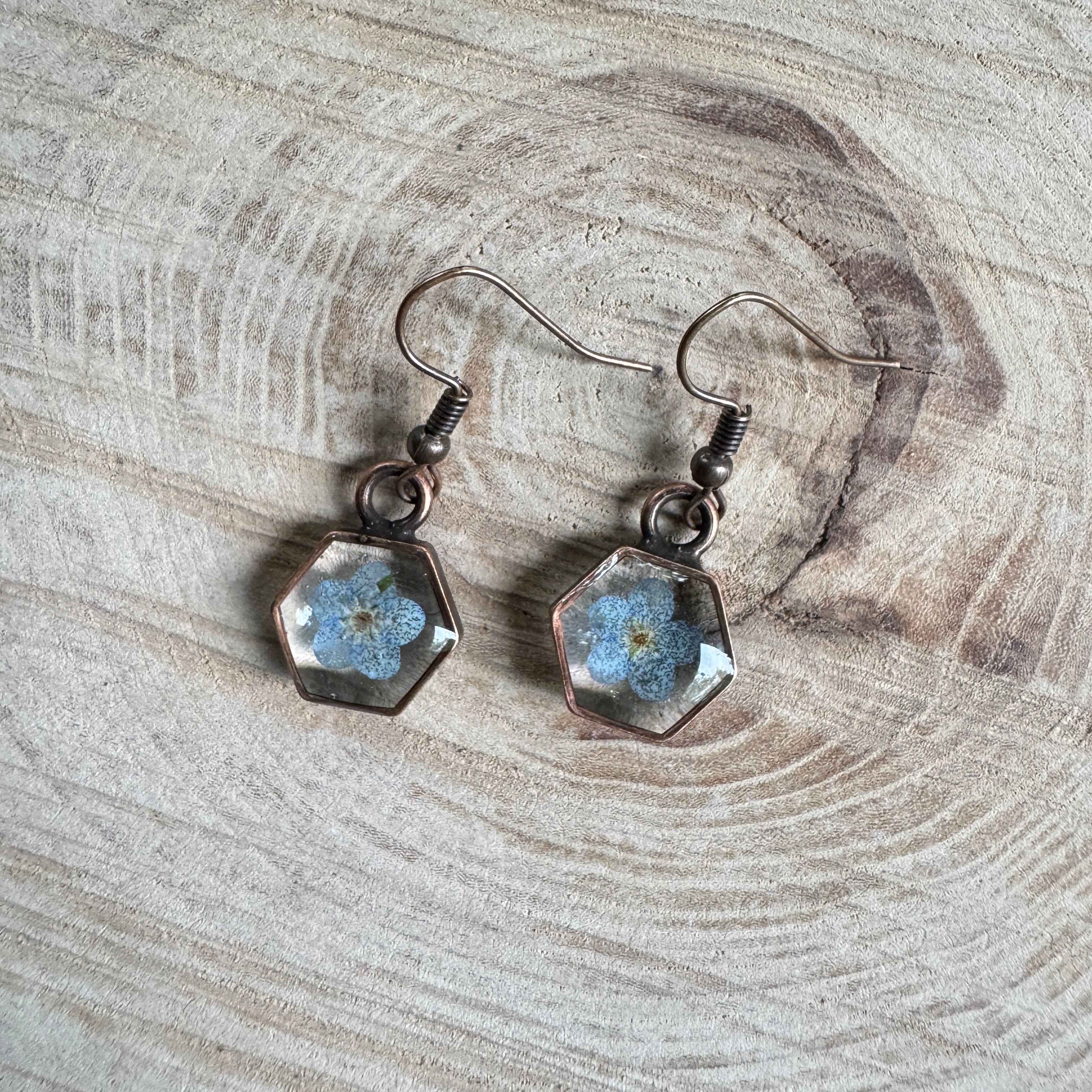 Earrings with real forget-me-not flowers preserved in resin and set in copper bezels