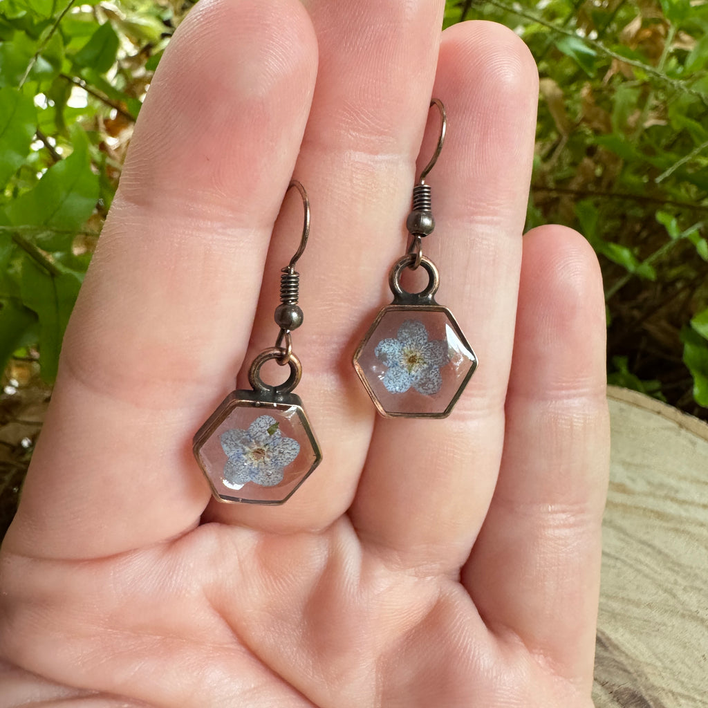 Earrings with real forget-me-not flowers preserved in resin and set in copper bezels