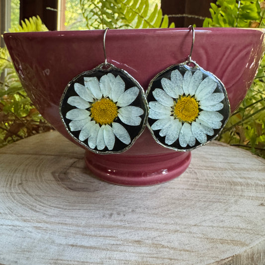 Daisy Earrings | Real Pressed Flower Resin Jewelry