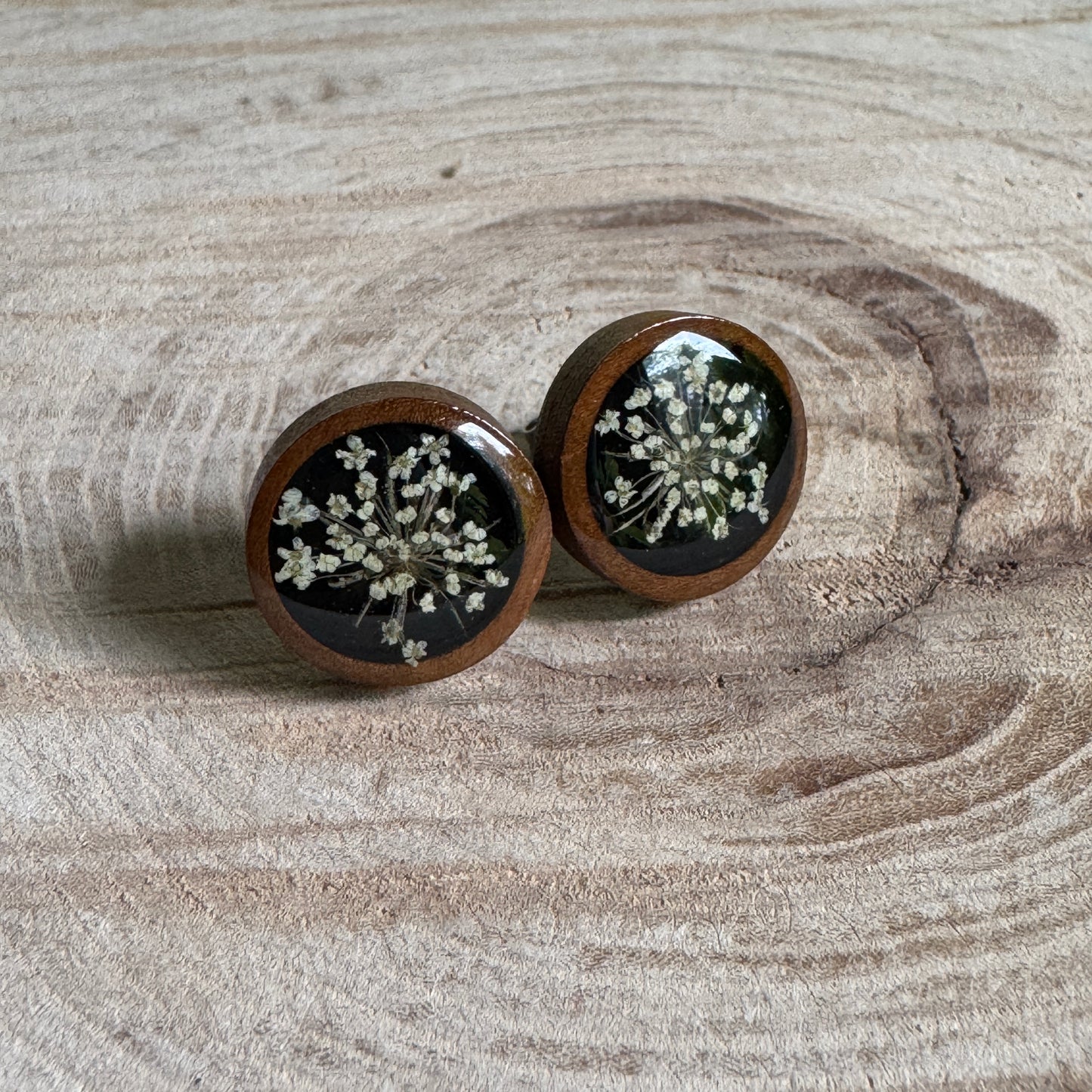 Queen Anne’s Lace stud earrings with real pressed flowers in resin over a wood background, stainless steel studs