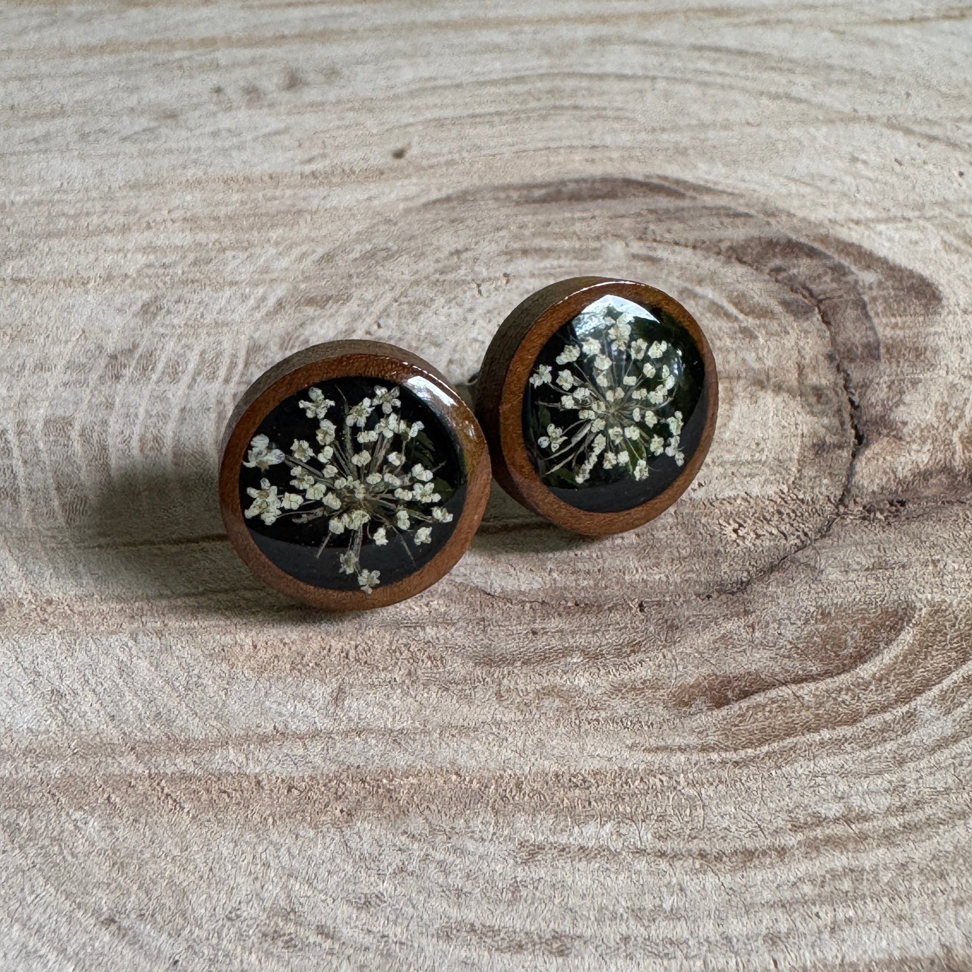 Queen Anne’s Lace stud earrings with real pressed flowers in resin over a wood background, stainless steel studs