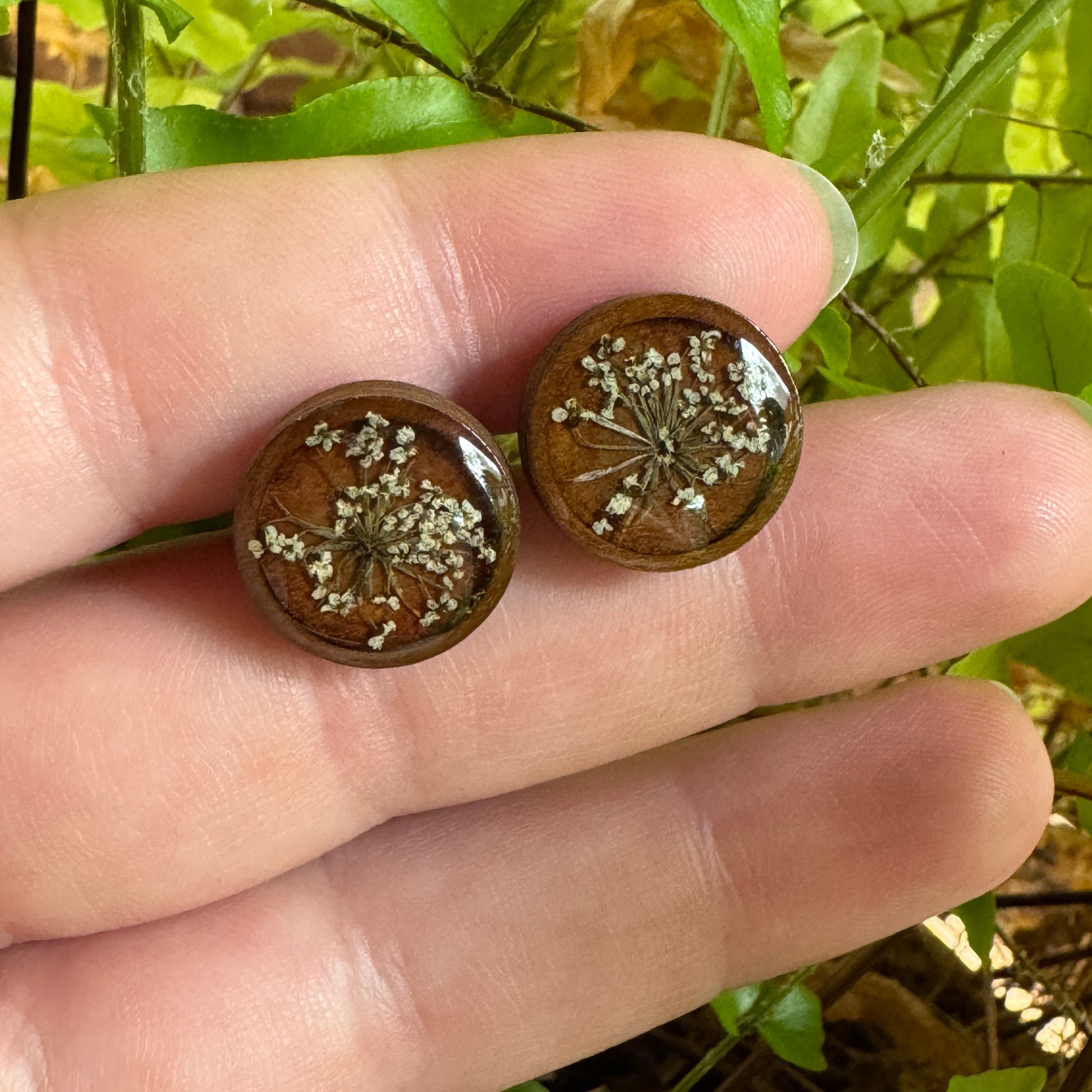 Queen Anne’s Lace stud earrings with real pressed flowers in resin over a wood background, stainless steel studs