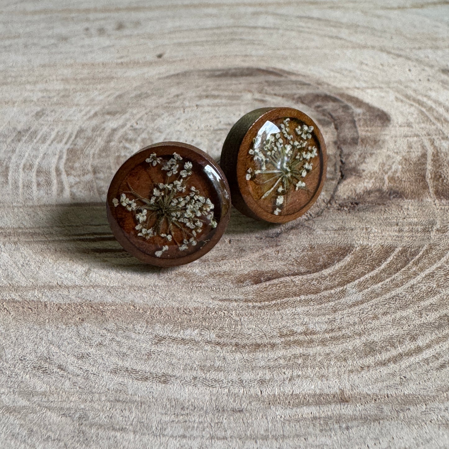 Queen Anne’s Lace stud earrings with real pressed flowers in resin over a wood background, stainless steel studs
