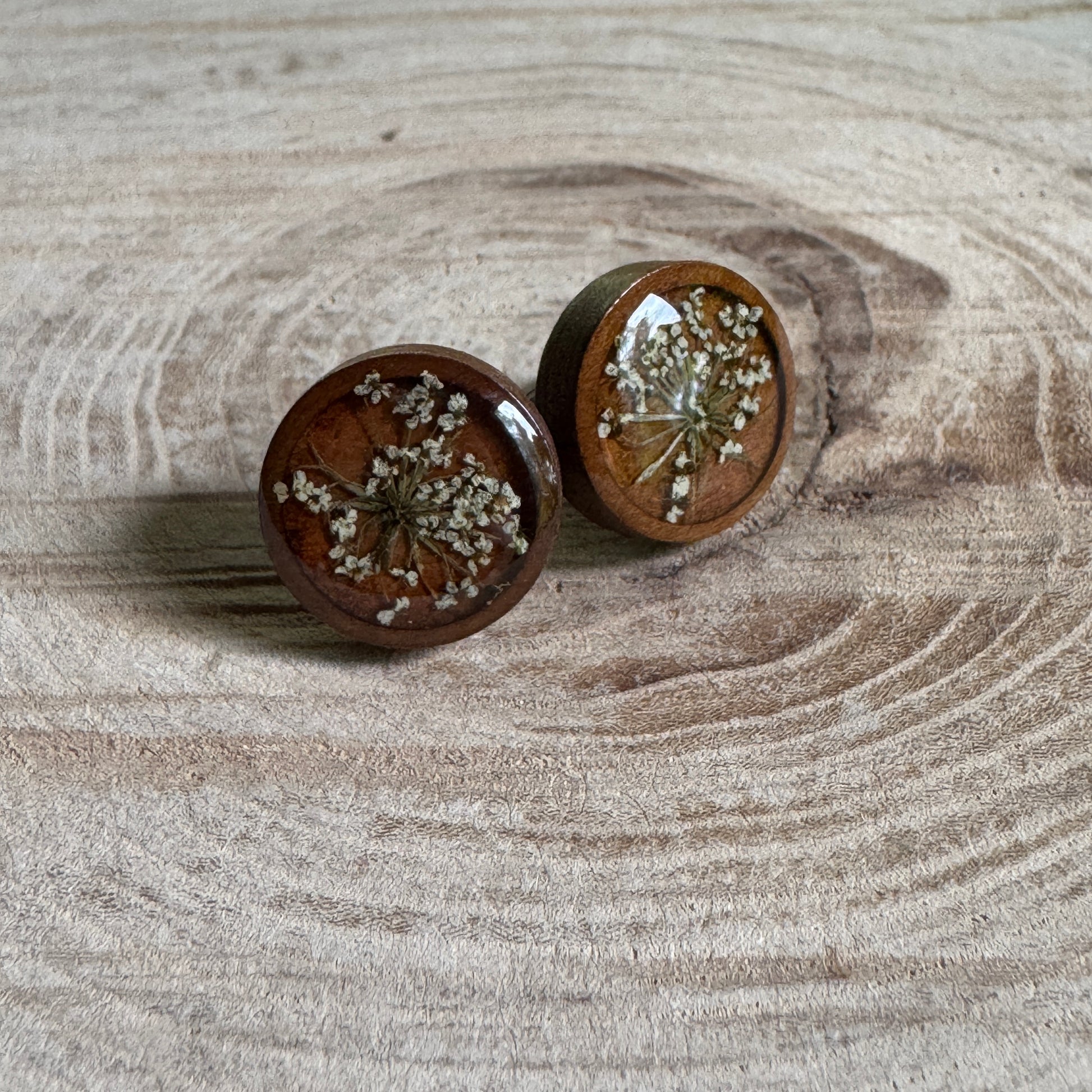 Queen Anne’s Lace stud earrings with real pressed flowers in resin over a wood background, stainless steel studs
