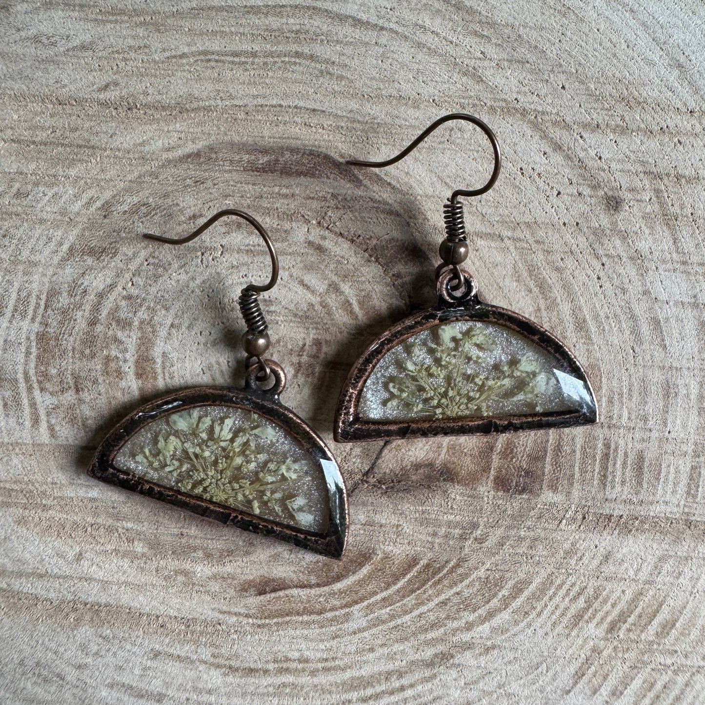 Queen Anne’s Lace flower earrings preserved in resin with copper bezel