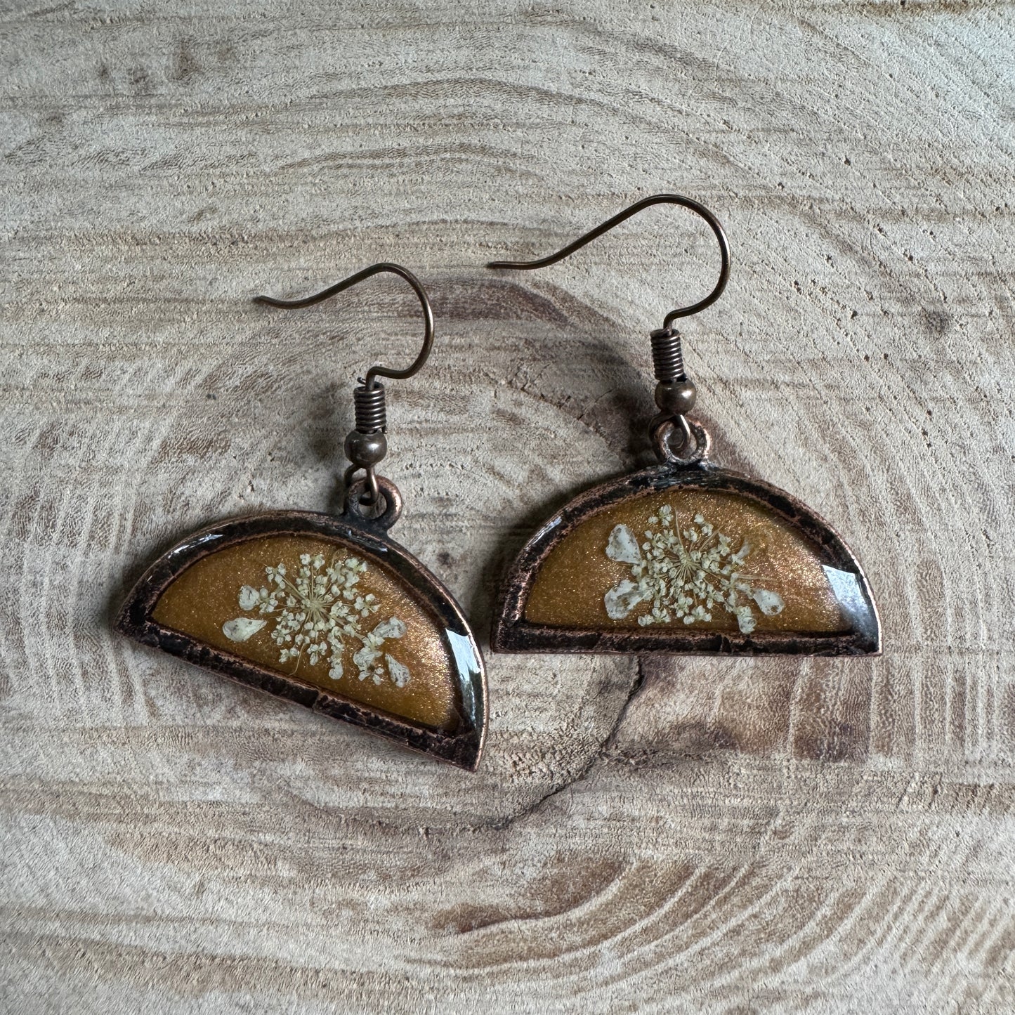 Queen Anne’s Lace flower earrings preserved in resin with copper bezel